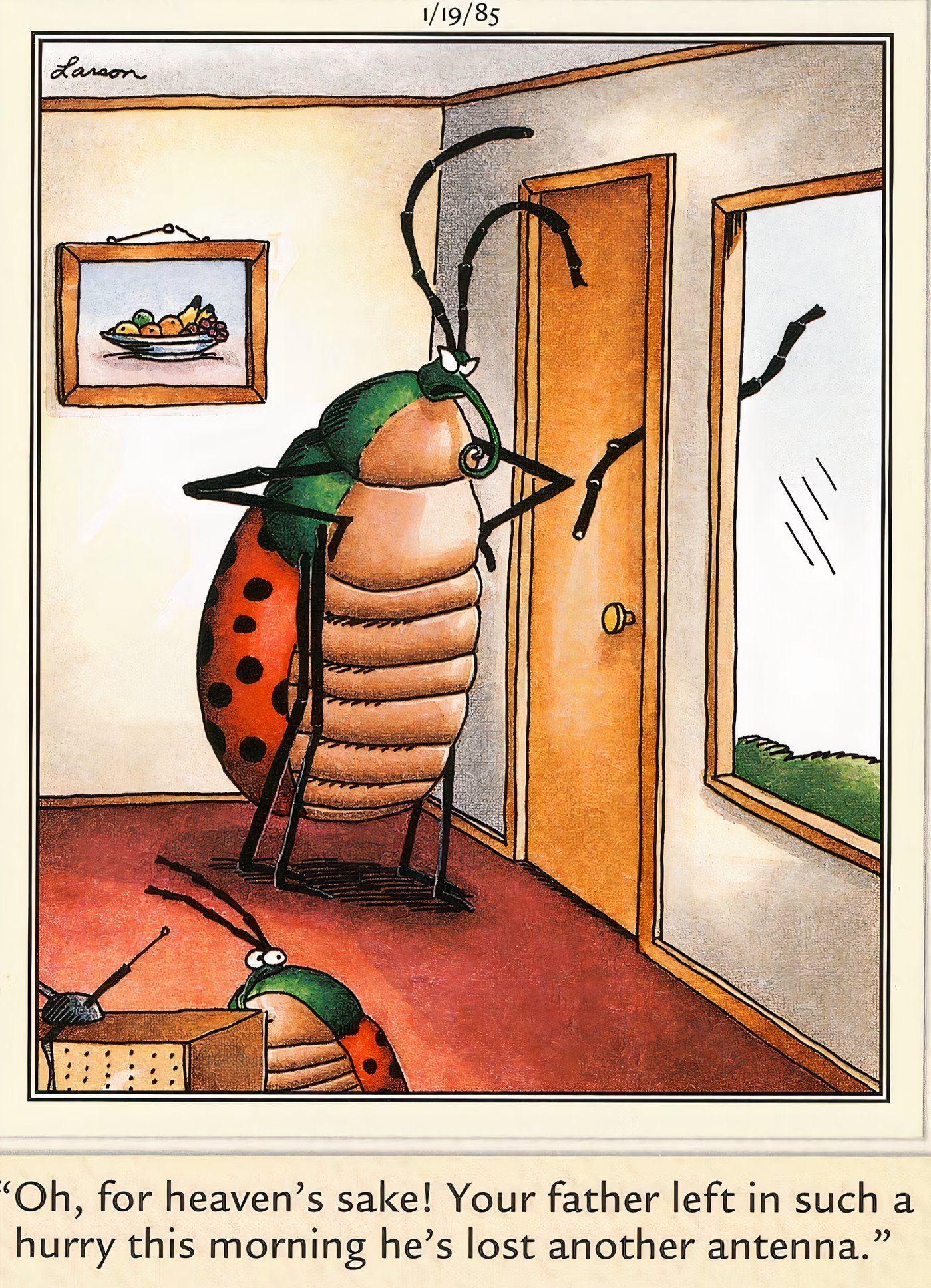 A ladybug notices her husband's antenna stuck in the door on the other side.