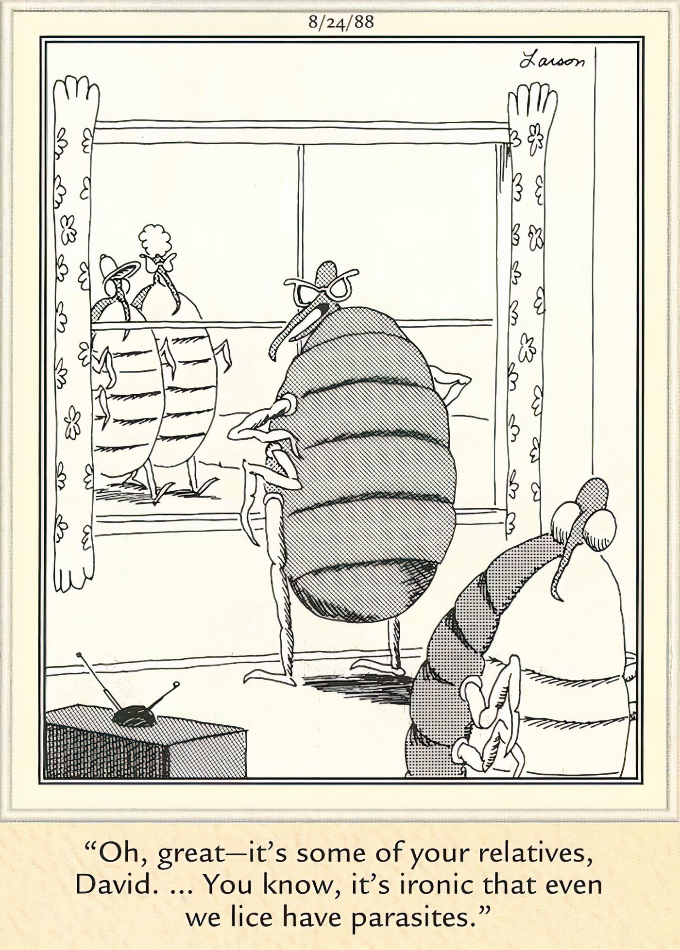 Un matrimonio de piojos peleando por sus suegros en The Far Side.