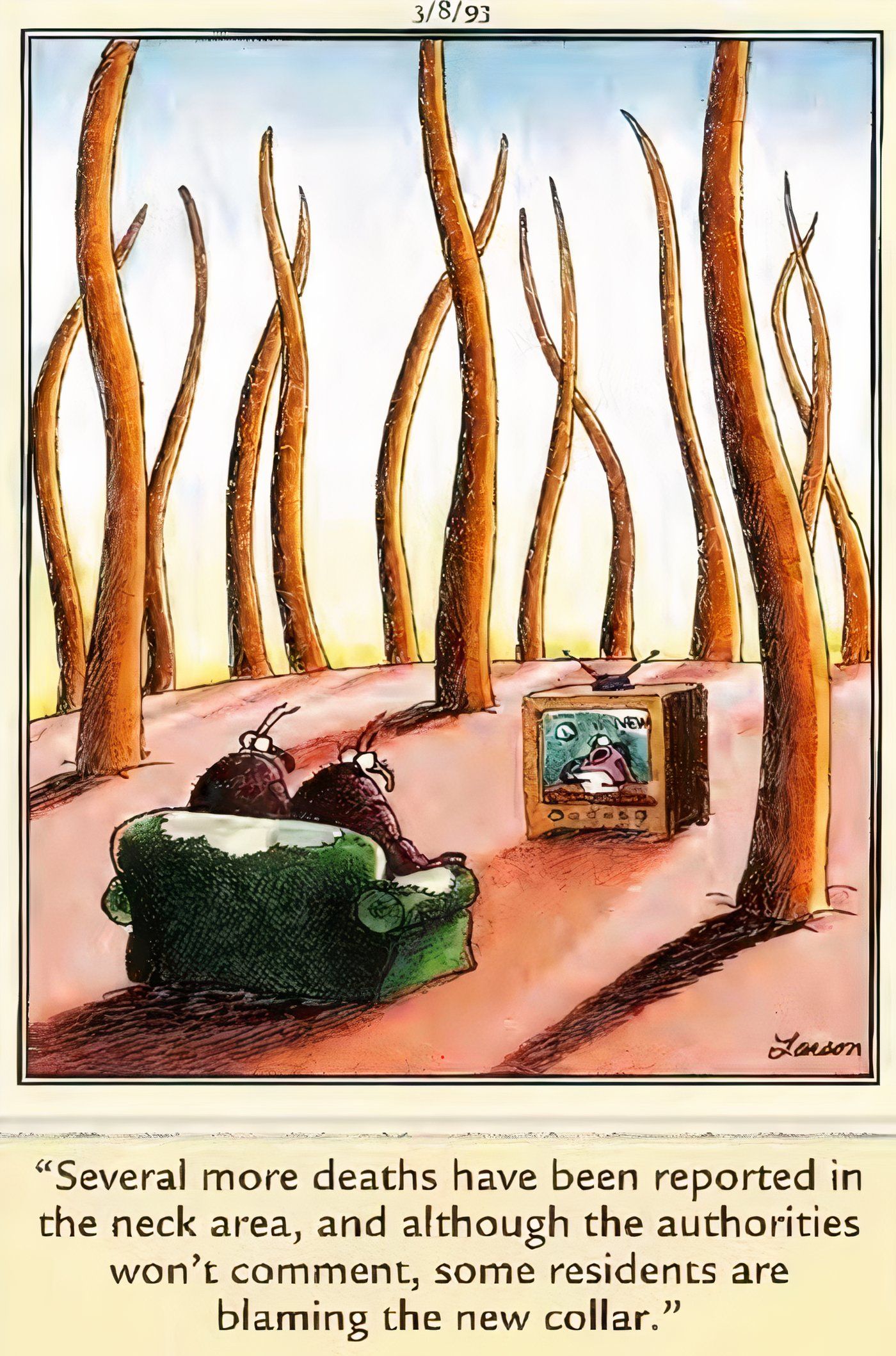 Dos pulgas viendo las noticias locales en The Far Side.