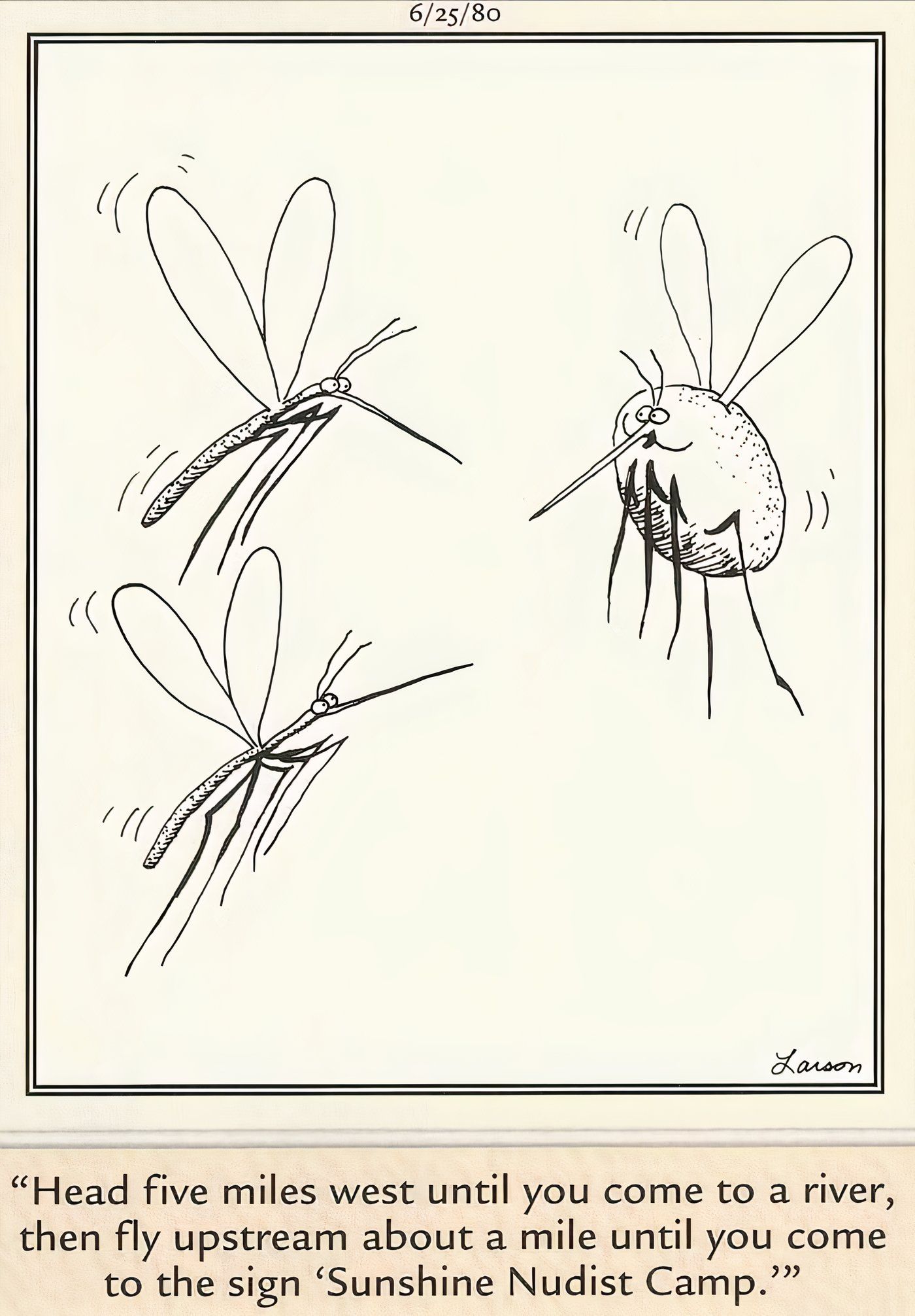 Dos mosquitos hablando con un gordo en The Far Side.