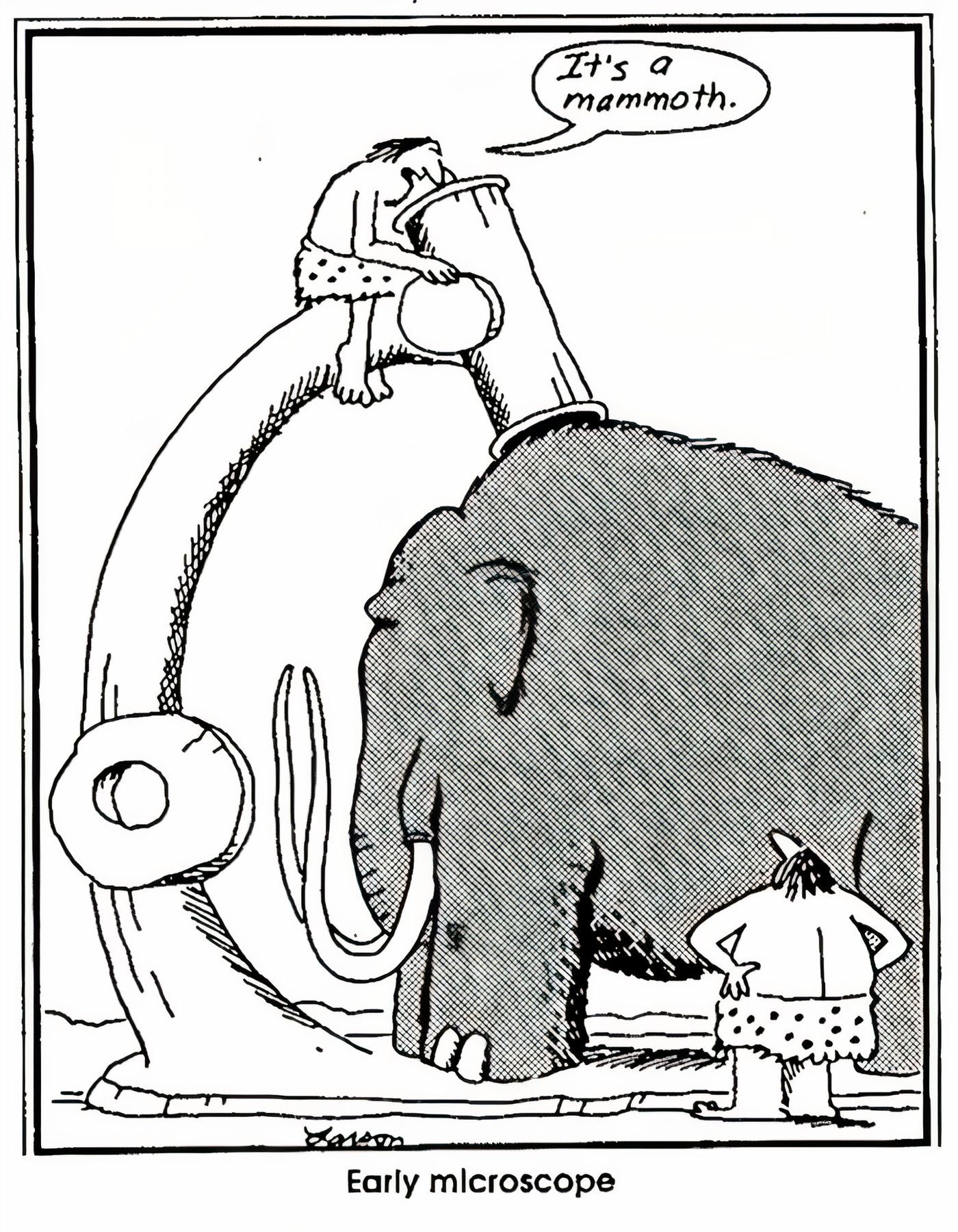 A caveman using a giant microscope to look at a mammoth in The Far Side.