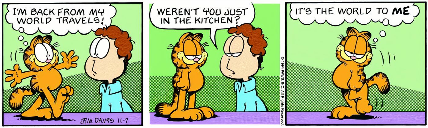 Garfield telling Jon that the kitchen means a lot to him.