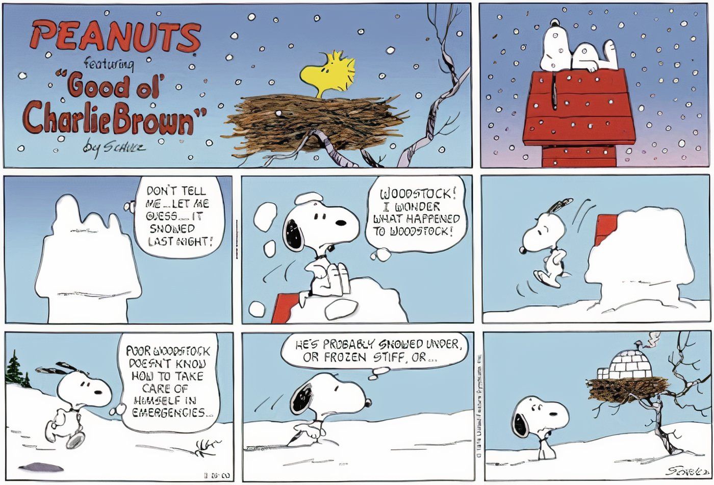 Snoopy encuentra a Woodstock en el iglú que construyó. 