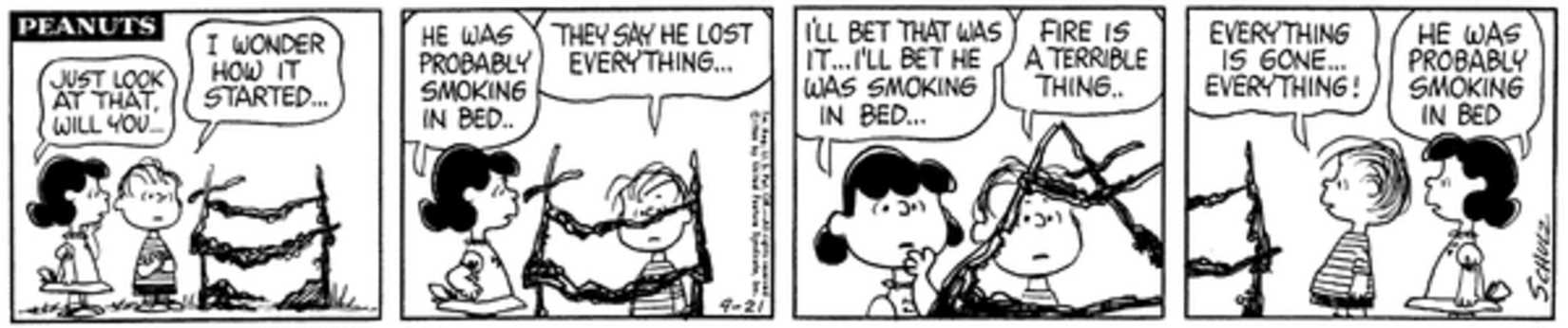 Peanuts strip: Lucy and Linus looking at Snoopy's burnt doghouse.