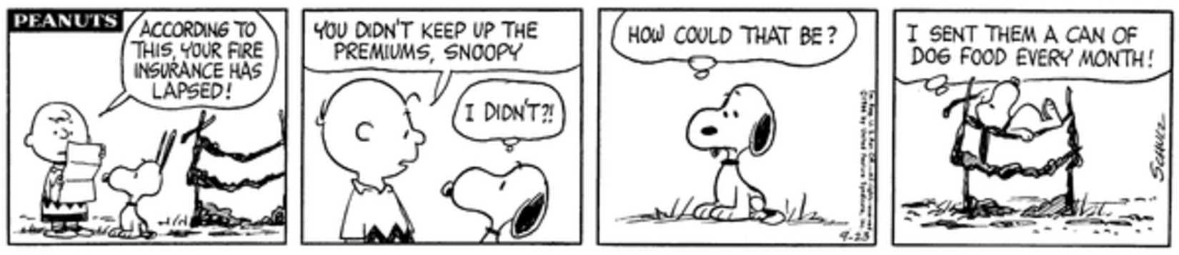 Peanuts strip: Charlie Brown telling Snoopy his insurance has lapsed.