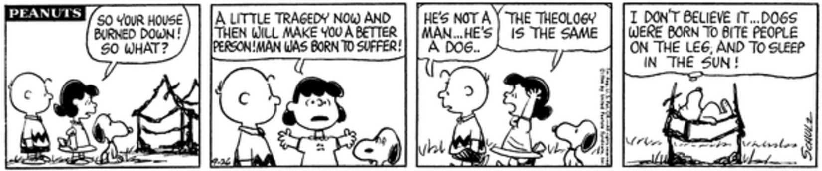 Peanuts strip: Lucy lecturing Snoopy and Charlie Brown.