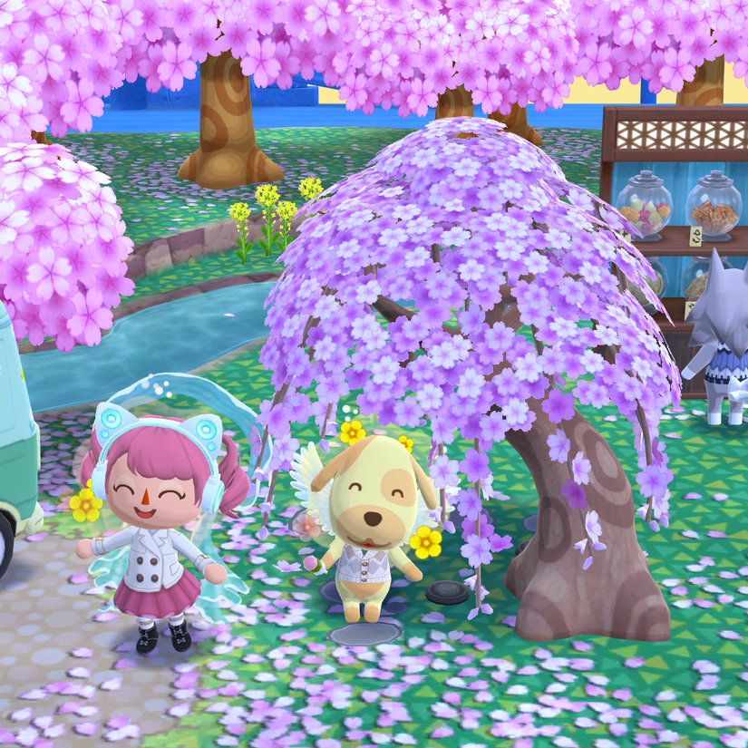 animal crossing: pocket camp character and Goldie sitting under a blooming sakura tree