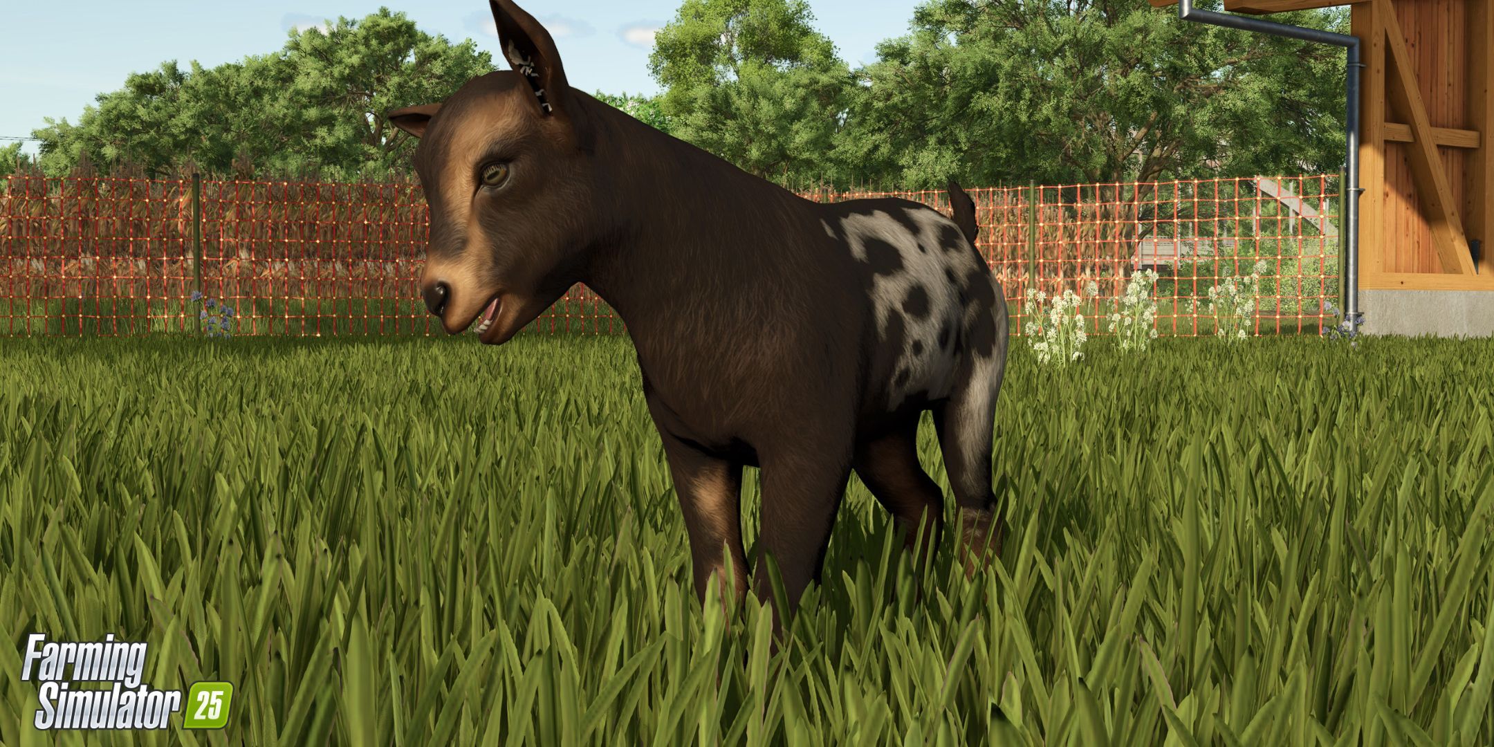 10 Ways Farming Simulator 25 Is Different From Previous Games