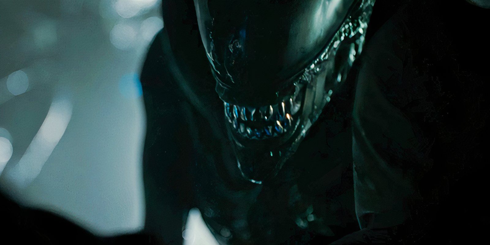 Alien Sequel Finds Streaming Success After $350 Million Box Office Haul