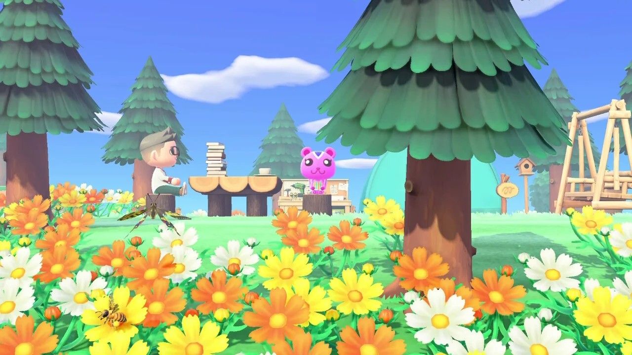 10 Animal Crossing: New Horizons Items That Should Be Functional, But Aren't