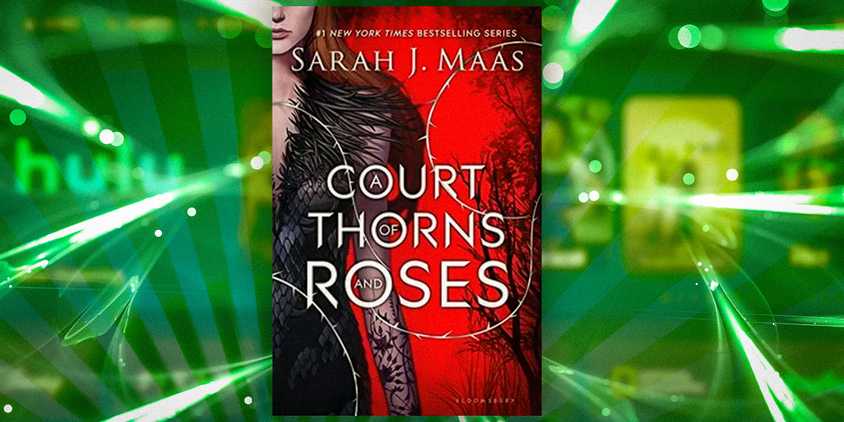 book-cover-of-The-Court-Of-Thorns-&-Roses-1
