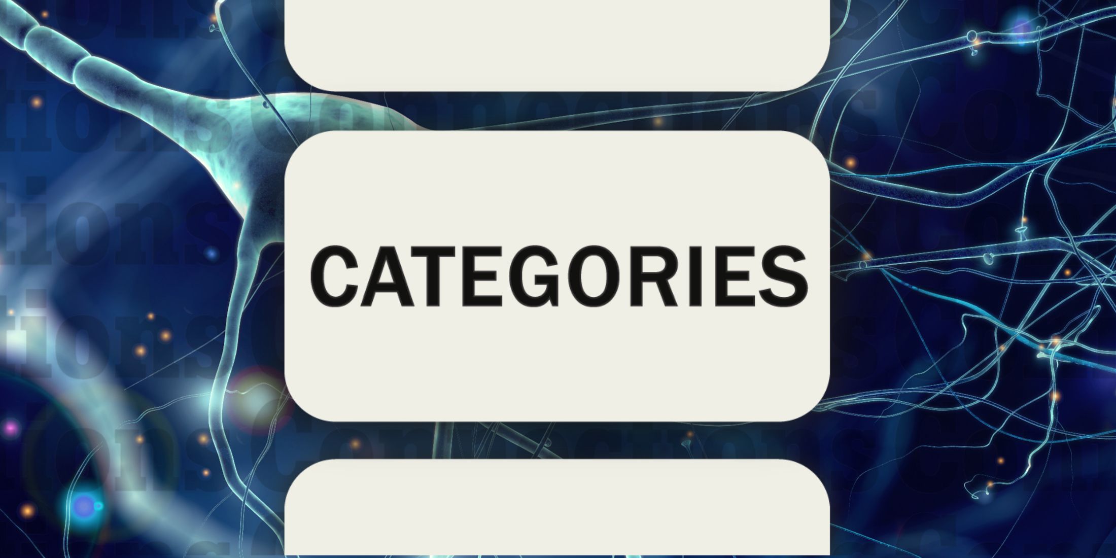 Nerve in Connections Categories December 17