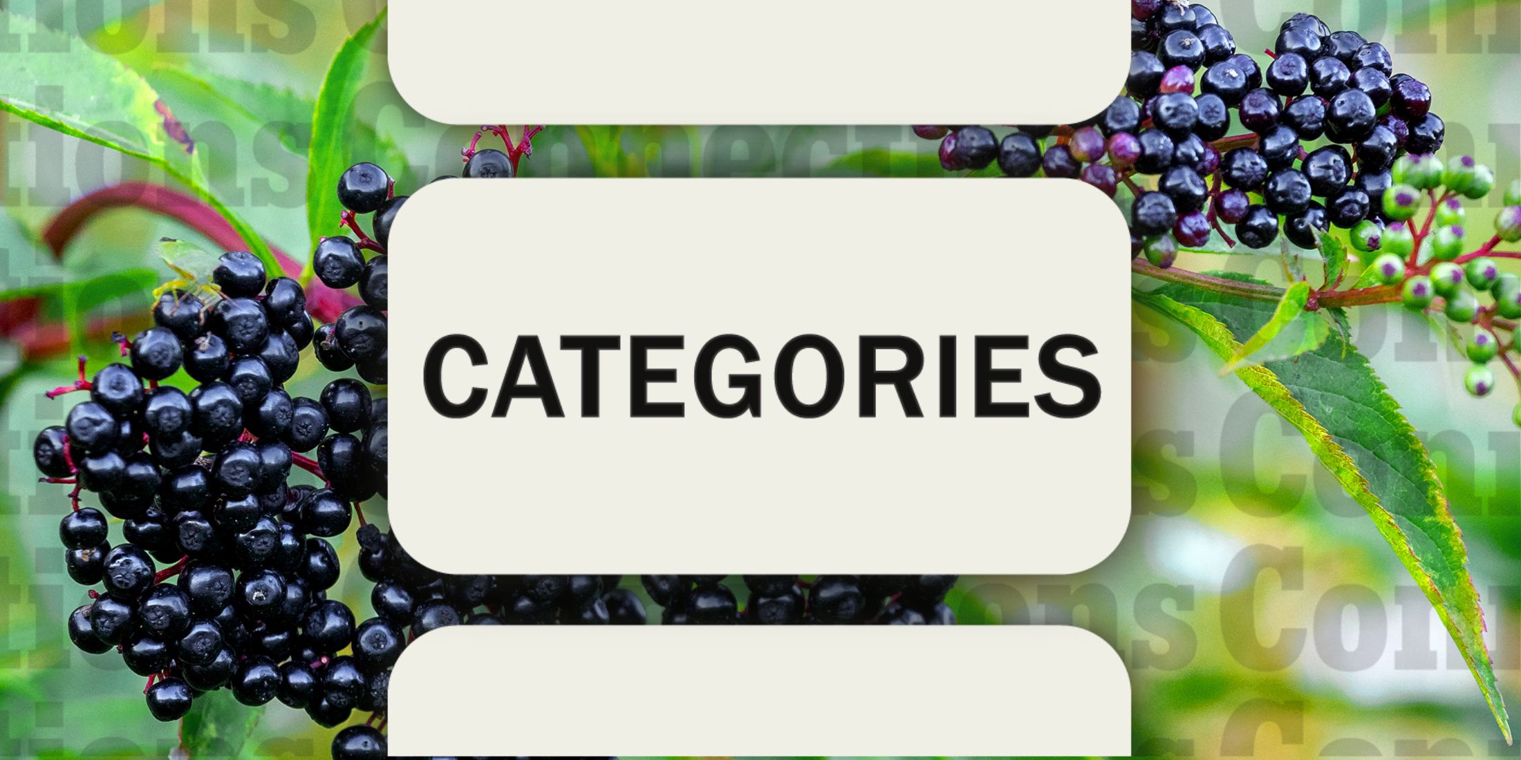 eLDER IN Connections Categories December 26