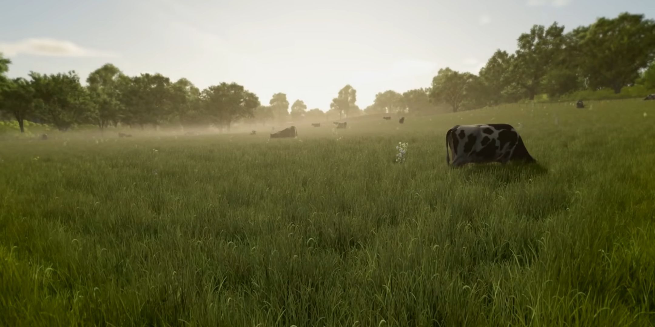 10 Ways Farming Simulator 25 Is Different From Previous Games