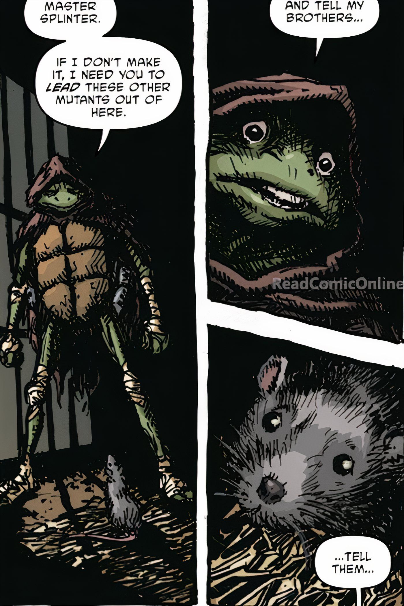 Comic -Panels: Donatello sagt der Ratte, dass er sich irre, der Meister -Splitter hat eine Nachricht an seine Brüder in Teenage Mutant Ninja Turtles #4 gesendet