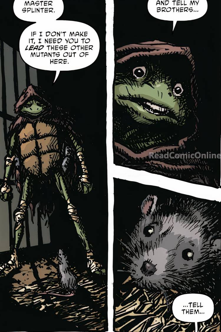 Comic book panels: Donatello tells a rat he mistakes for Master Splinter to send a message to his brothers in Teenage Mutant Ninja Turtles #4