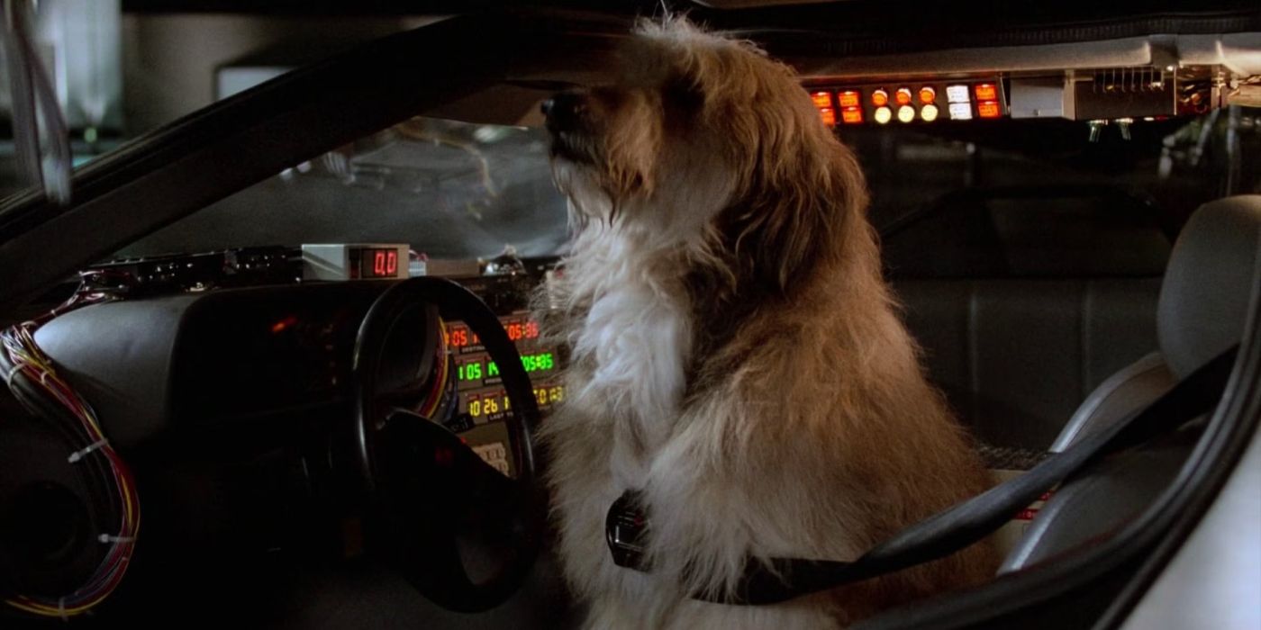 El perro Einstein sentado en el asiento delantero de un DeLorean en la película Regreso al futuro