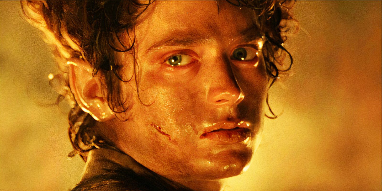 Elijah Wood looking exhausted as Frodo in Mount Doom in The Lord of the Rings The Return of the King