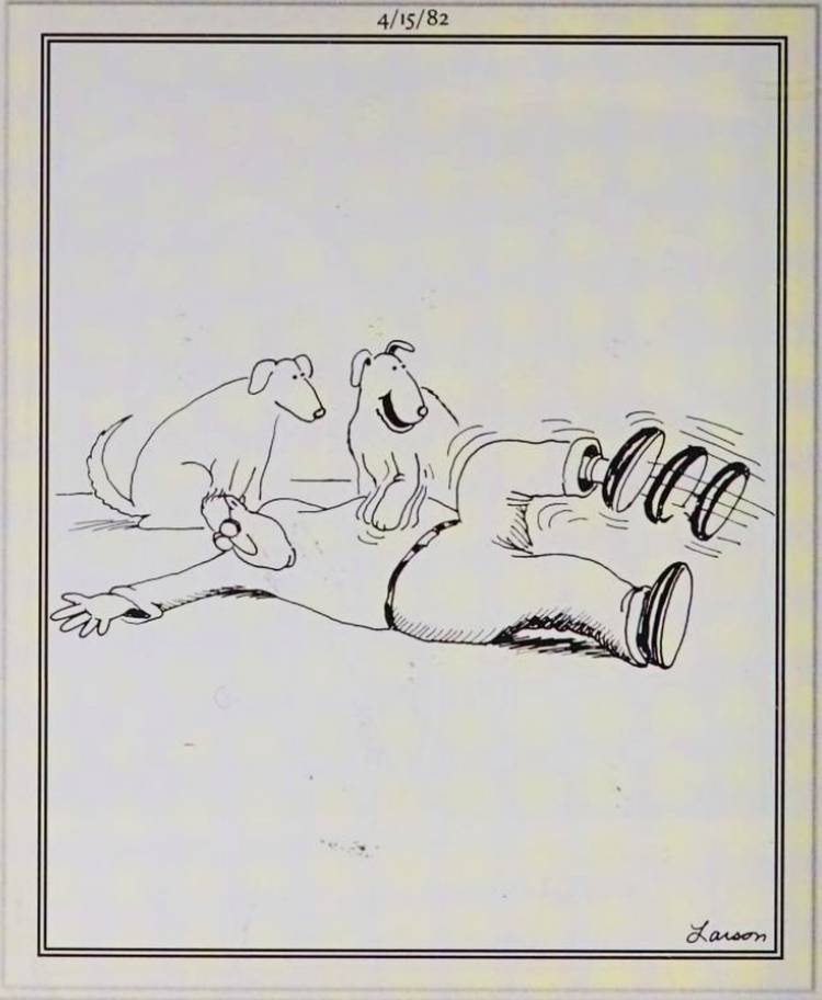 Far Side, April 15, 1982, dogs scratch a human's belly, making his leg kick