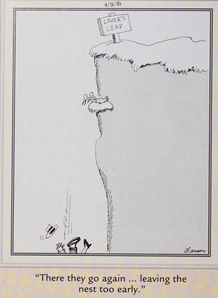 Far Side, April 9, 1981, a man falls past a bird's nest off a steep cliff, with a sign that says "lover's leap."