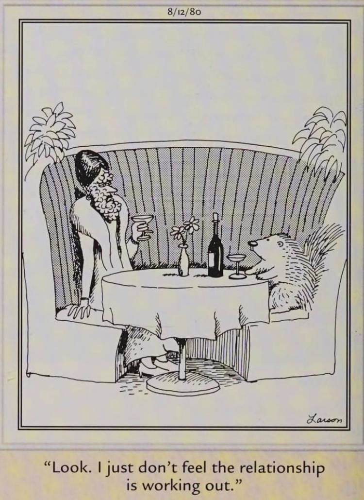 Far Side, August 12, 1980, a human woman and a porcupine break up over drinks