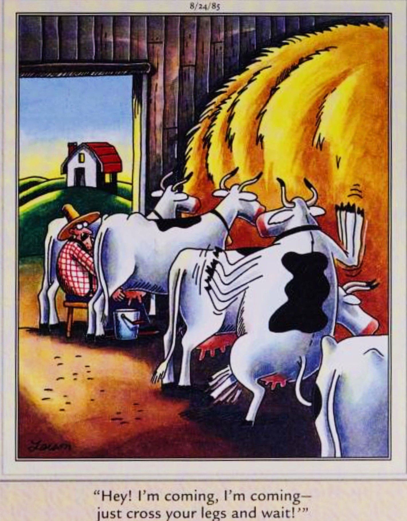 Far Side, 24 de agosto de 1985, uma vaca com vários membros está impaciente para ser ordenhada