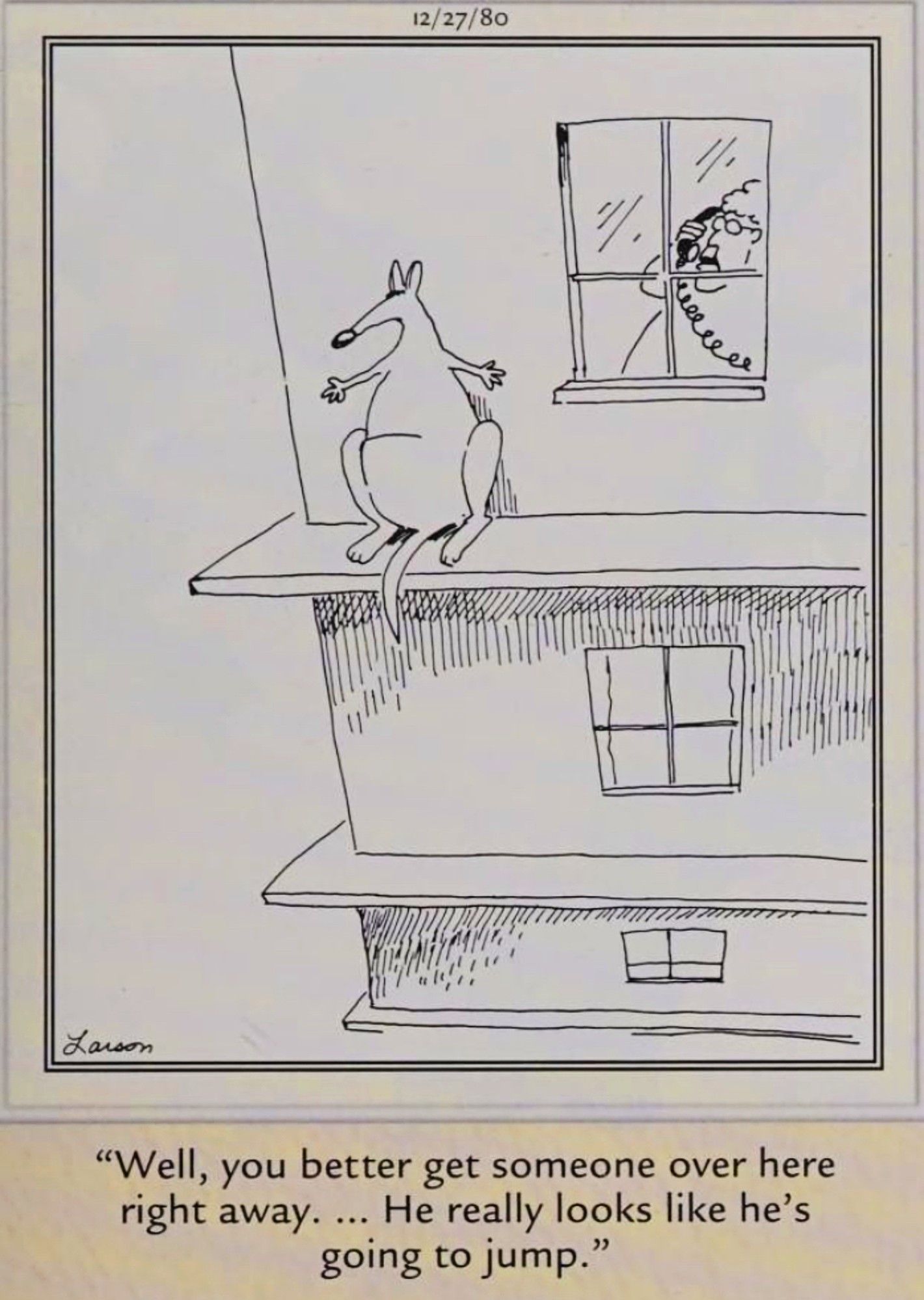 Far Side, 27 de dezembro de 1980, mulher liga para o 911 porque um canguru está prestes a pular de uma saliência