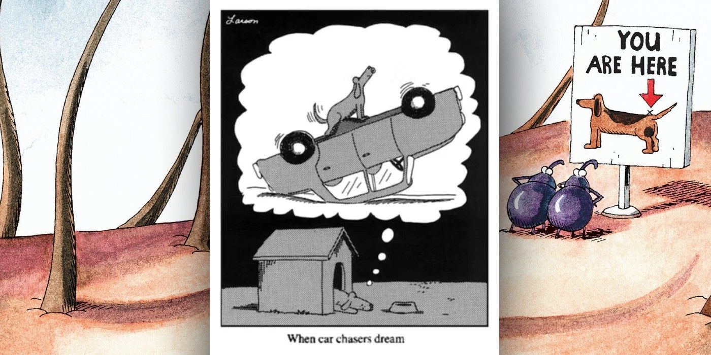FAR SIDE DOG CHASING CAR COMIC