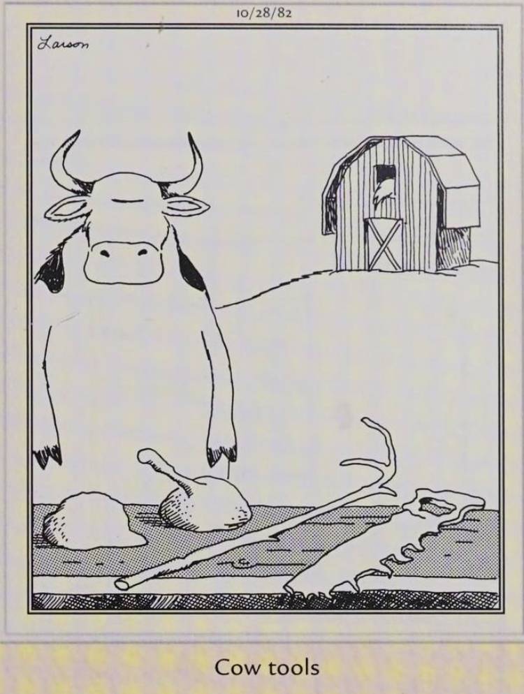 Far Side, October 28, 1982, a cow stands in front of a table with 'Cow Tools' on it