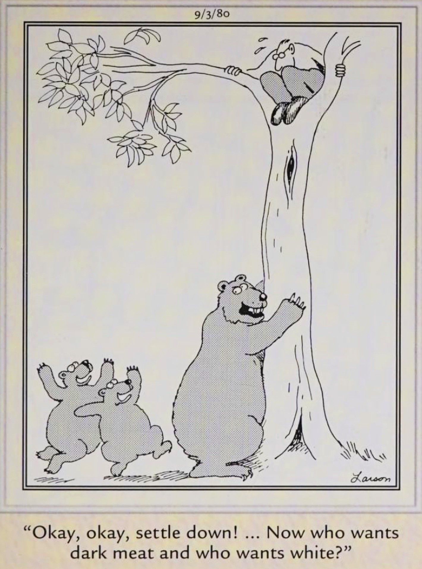 Far Side, 3 de setembro de 1980, um urso sacode um humano de uma árvore para alimentar seus filhotes