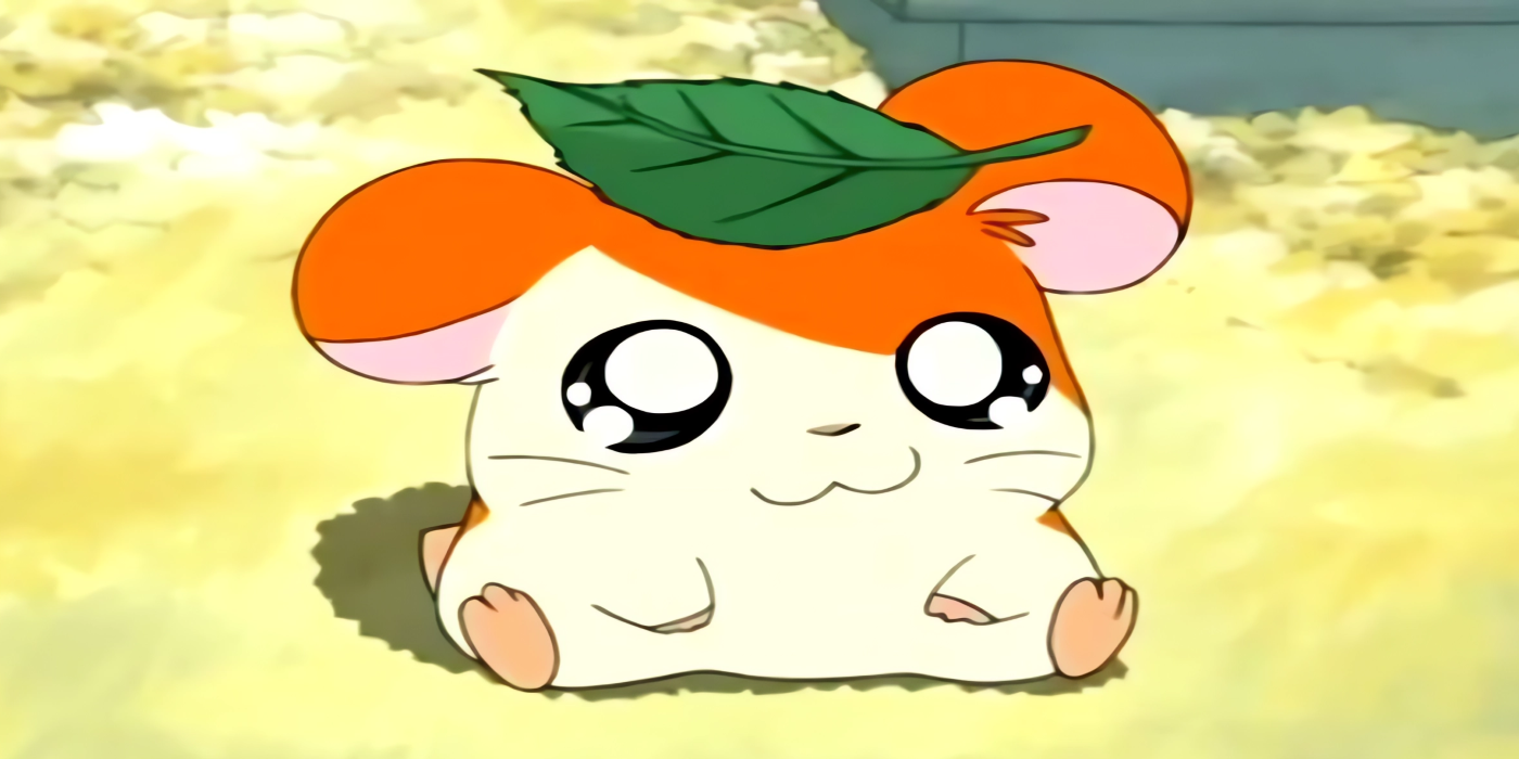 Hamtaro sentado com uma folha na cabeça.