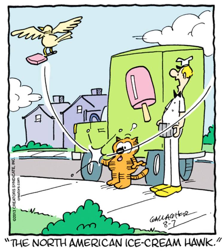Heathcliff, August 7, 2013, 'the North American ice cream hawk' steals Heathcliff's ice cream