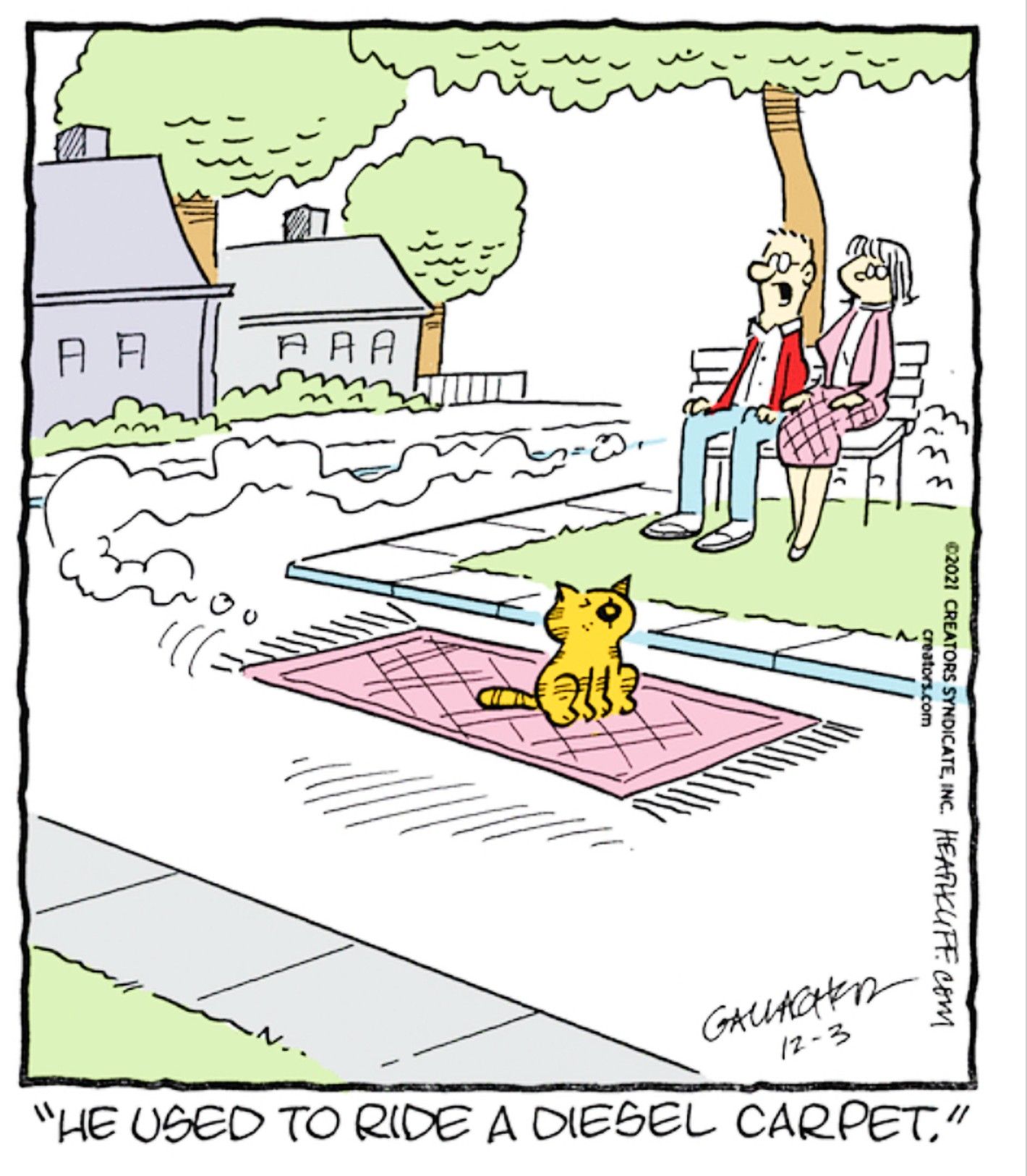 Heathcliff, December 3, 2021, Heathcliff on a flying carpet