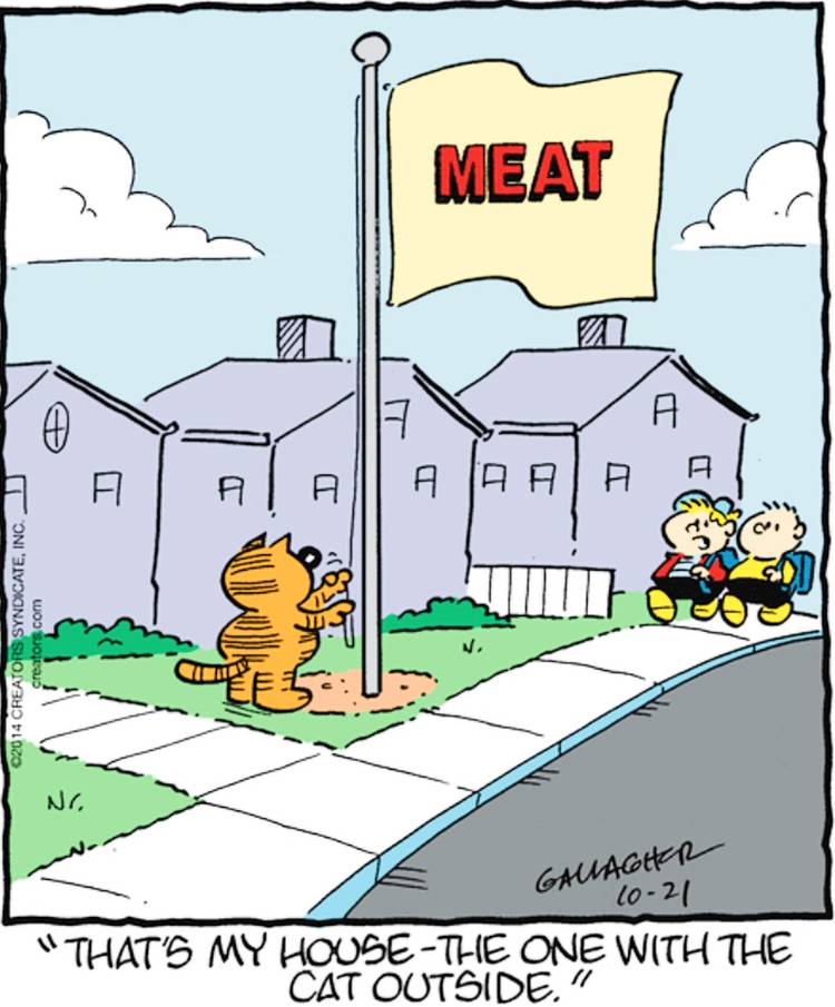 Heathcliff, October 21, 2011, Heathcliff flies a MEAT flag
