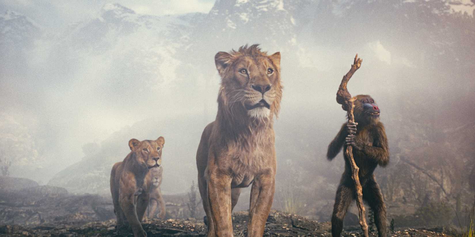 Sarabi, Mufasa, and Rafiki looking at something in awe in Mufasa: The Lion King