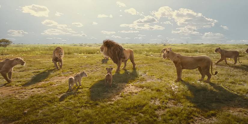 Animals standing together in Mufasa: The Lion King (2024)