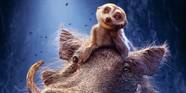 Lion King Timon And Pumbaa Download Timon And Pumbaa Cartoon