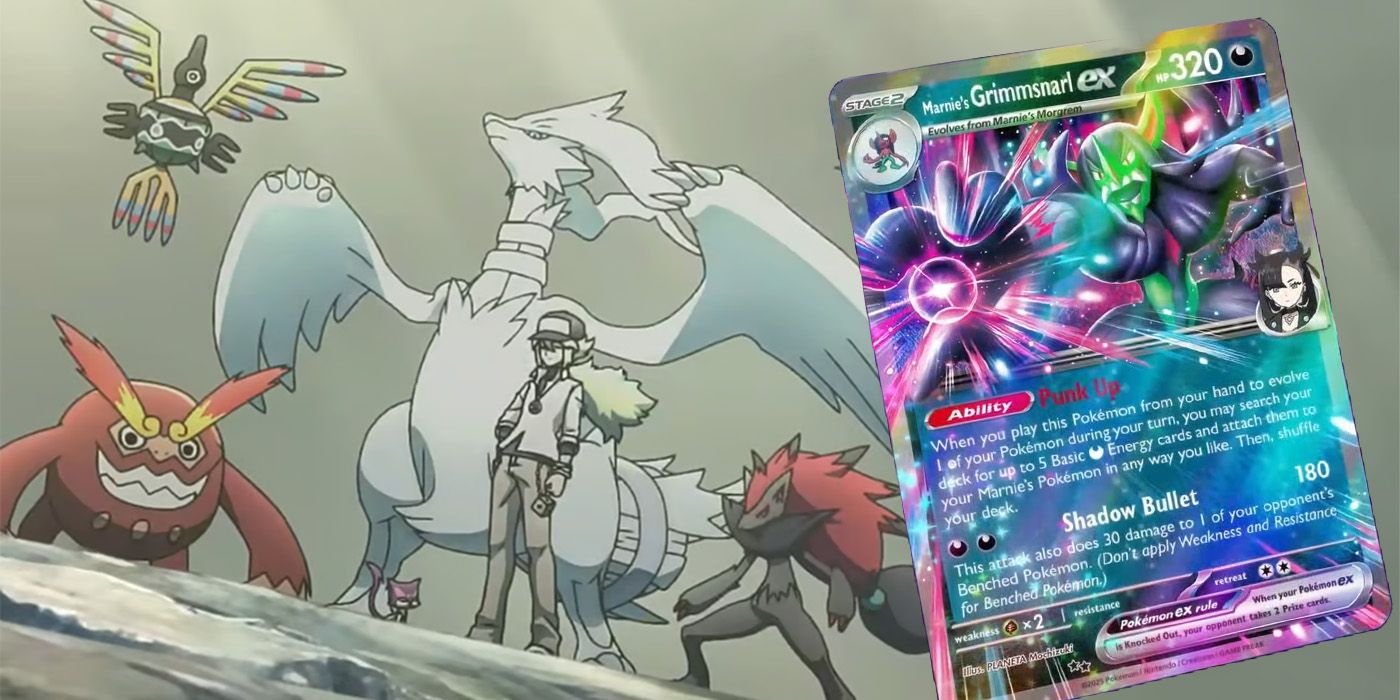 Pokémon TCG Leak Reveals Next 2025 Set, With Major Pokemon Card Type ...