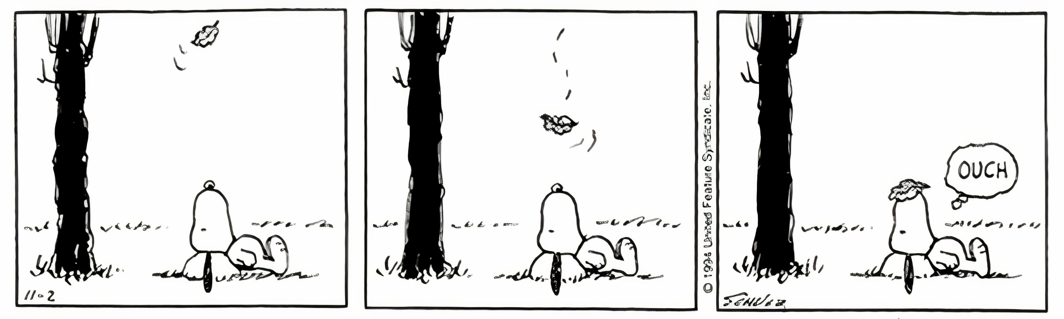 Peanuts, November 1994, a leaf falls on Snoopy's head and he says oh