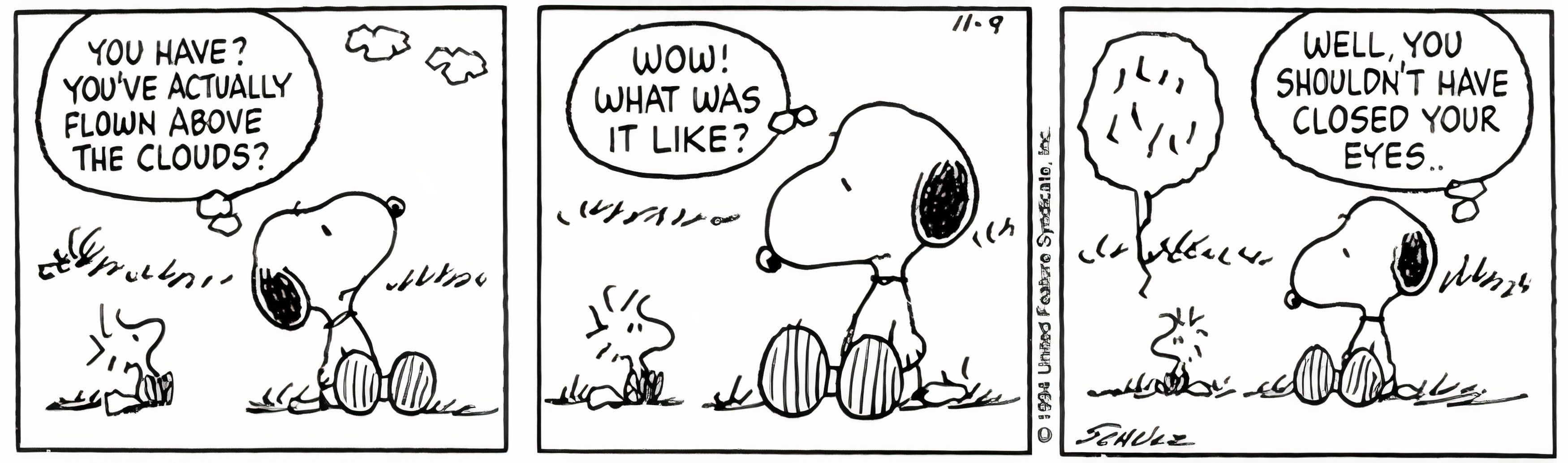 Peanuts, November 1994, Snoopy asks Woodstock what it's like to fly above the clouds and says he shouldn't have closed his eyes when he did.