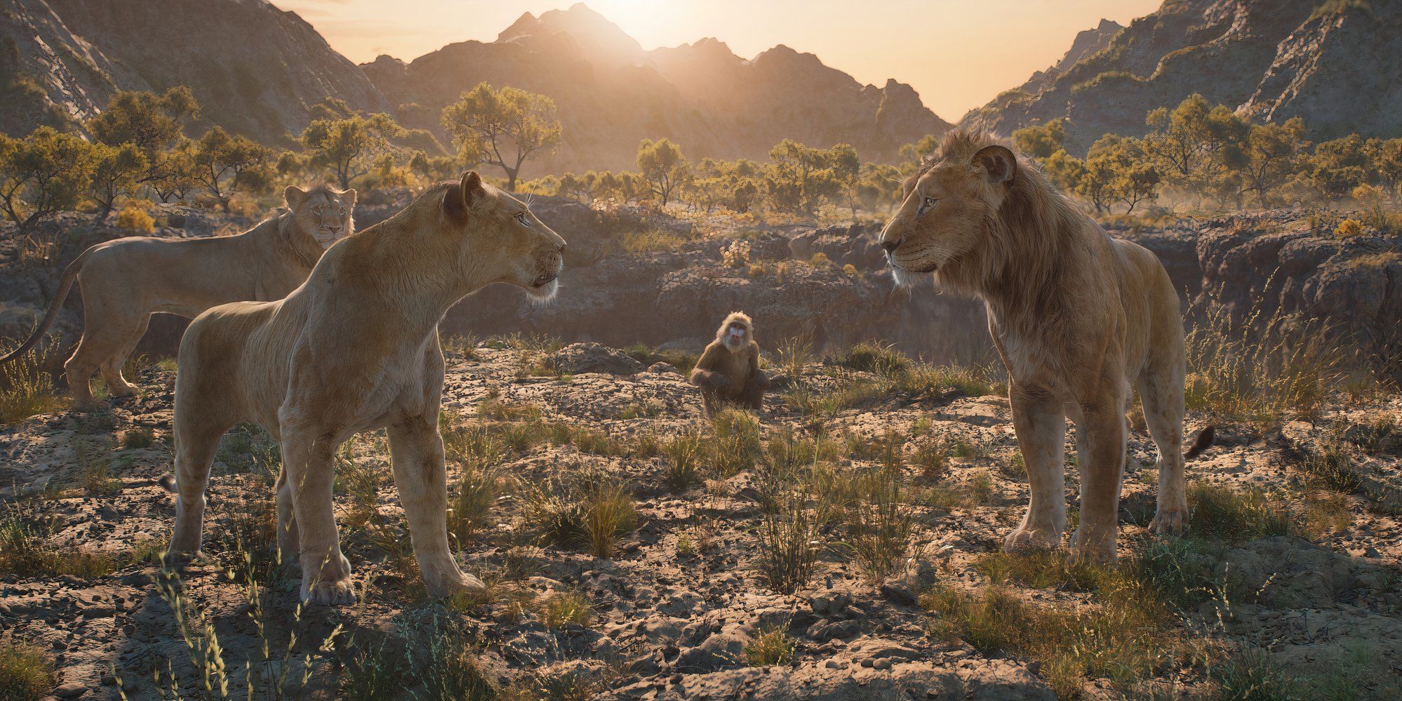 Rafiki com Mufasa, Sarabi e Taka em Mufasa, o Rei Leão