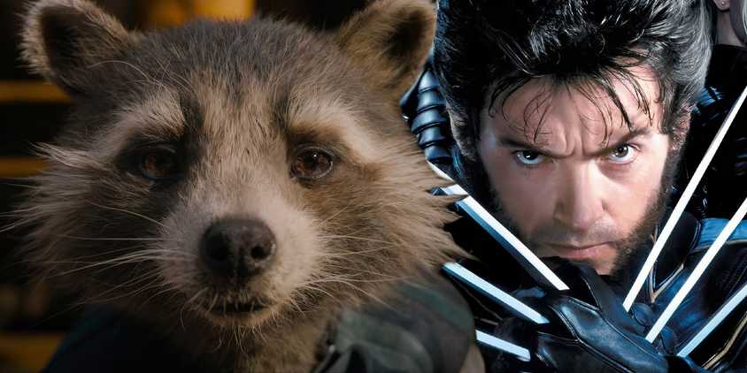 Split image of Rocket and Wolverine
