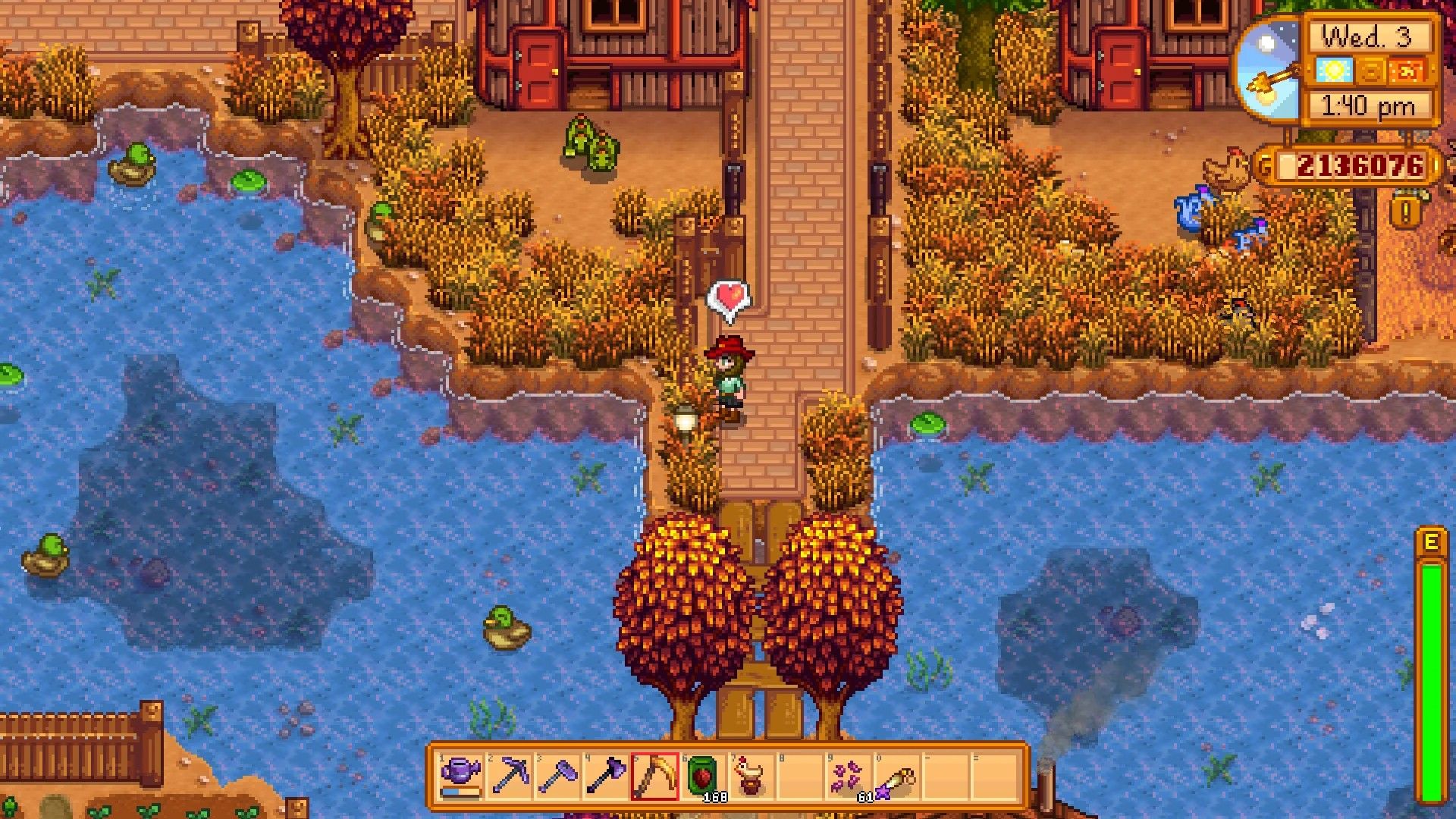 Фермер из Stardew Valley наблюдает за уткой, плавающей в озере