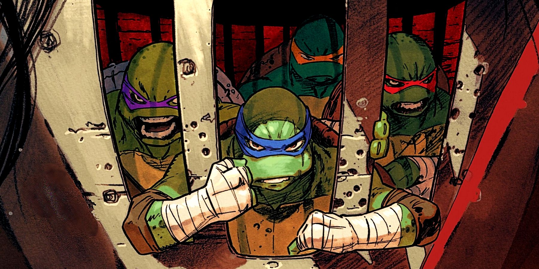  The Teenage Mutant Ninja Turtles stare out of Casey Jones' facemask