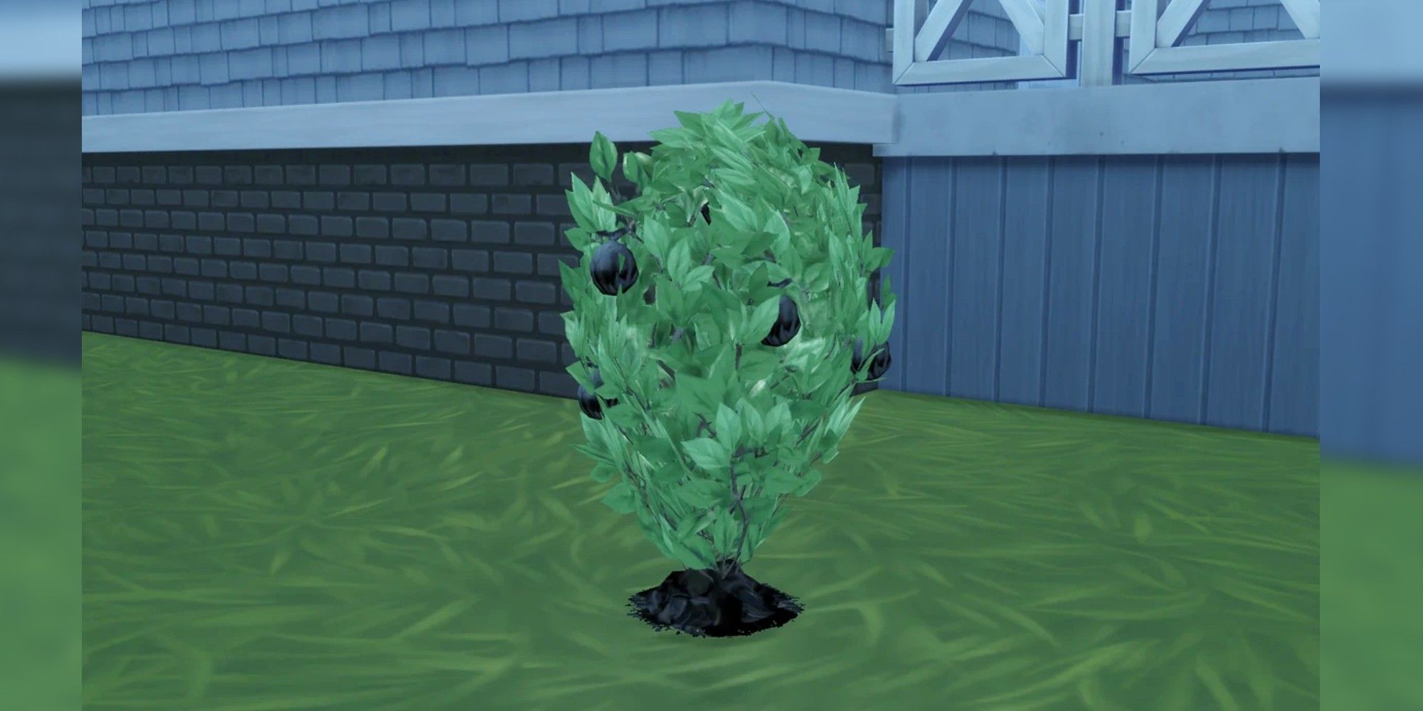 Trash Plant in Sims 4