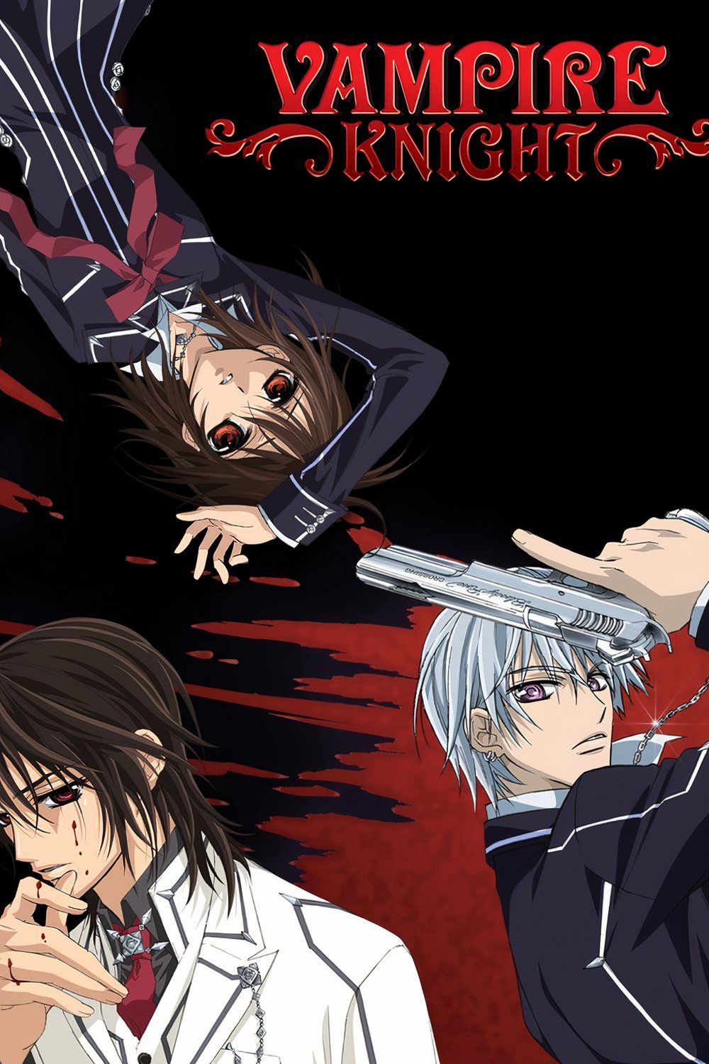 Vampire Knight anime