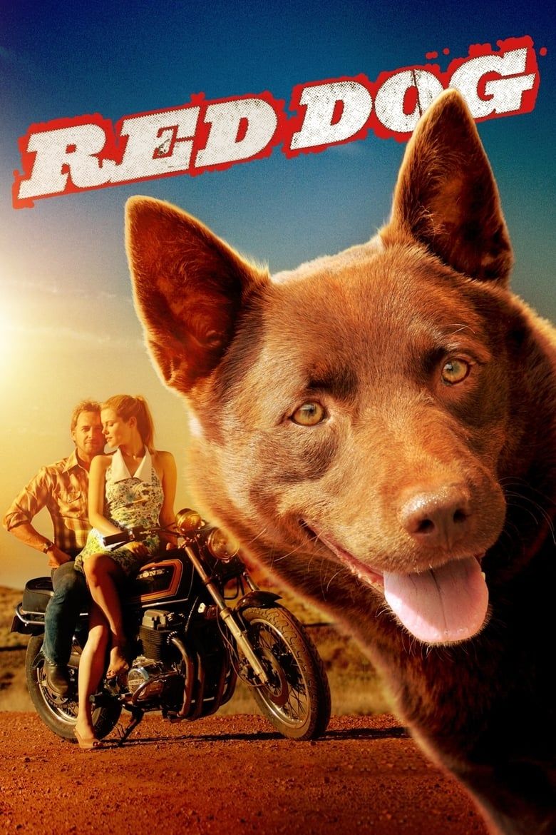 Red Dog Summary, Latest News, Trailer, Cast, Where to Watch and More