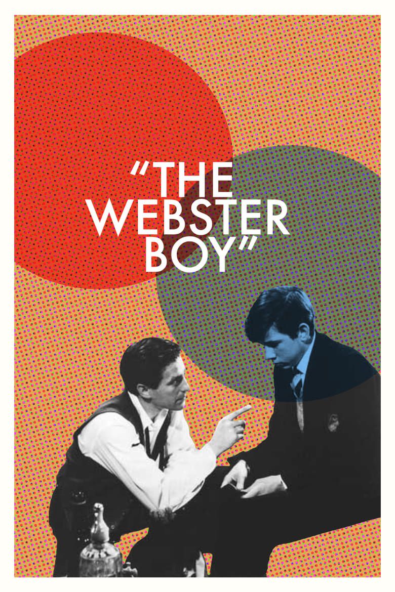WEBSTER BOY visual data 4