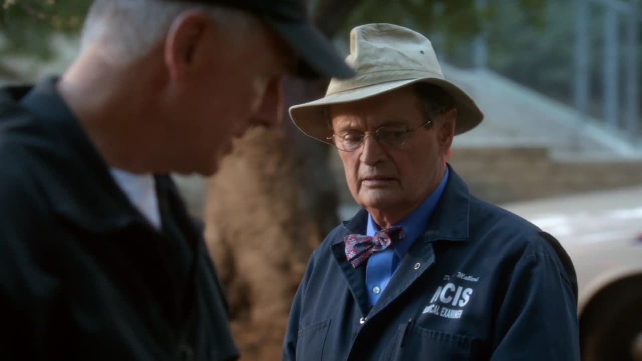 NCIS - Season 12 Summary, Trailer, Cast, and More
