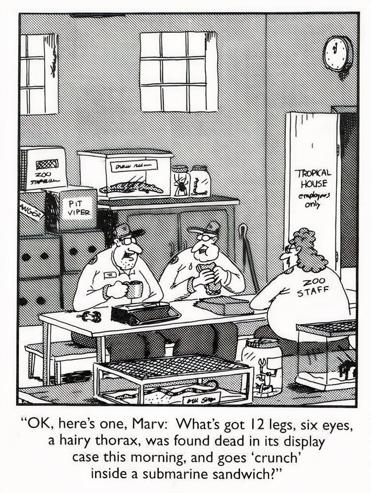Members of a zoo staff eating lunch together The Far Side.